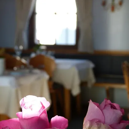 ホテル Fischachstubn ベルクハイム